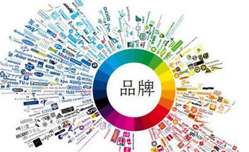 志卓科技 以定制化服務(wù)為引擎，驅(qū)動技術(shù)推廣與品牌價值共贏